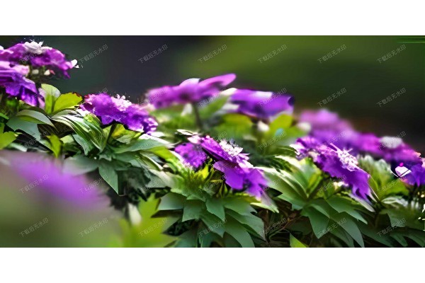 “武汉养生必备：哪款按摩椅最受欢迎？”